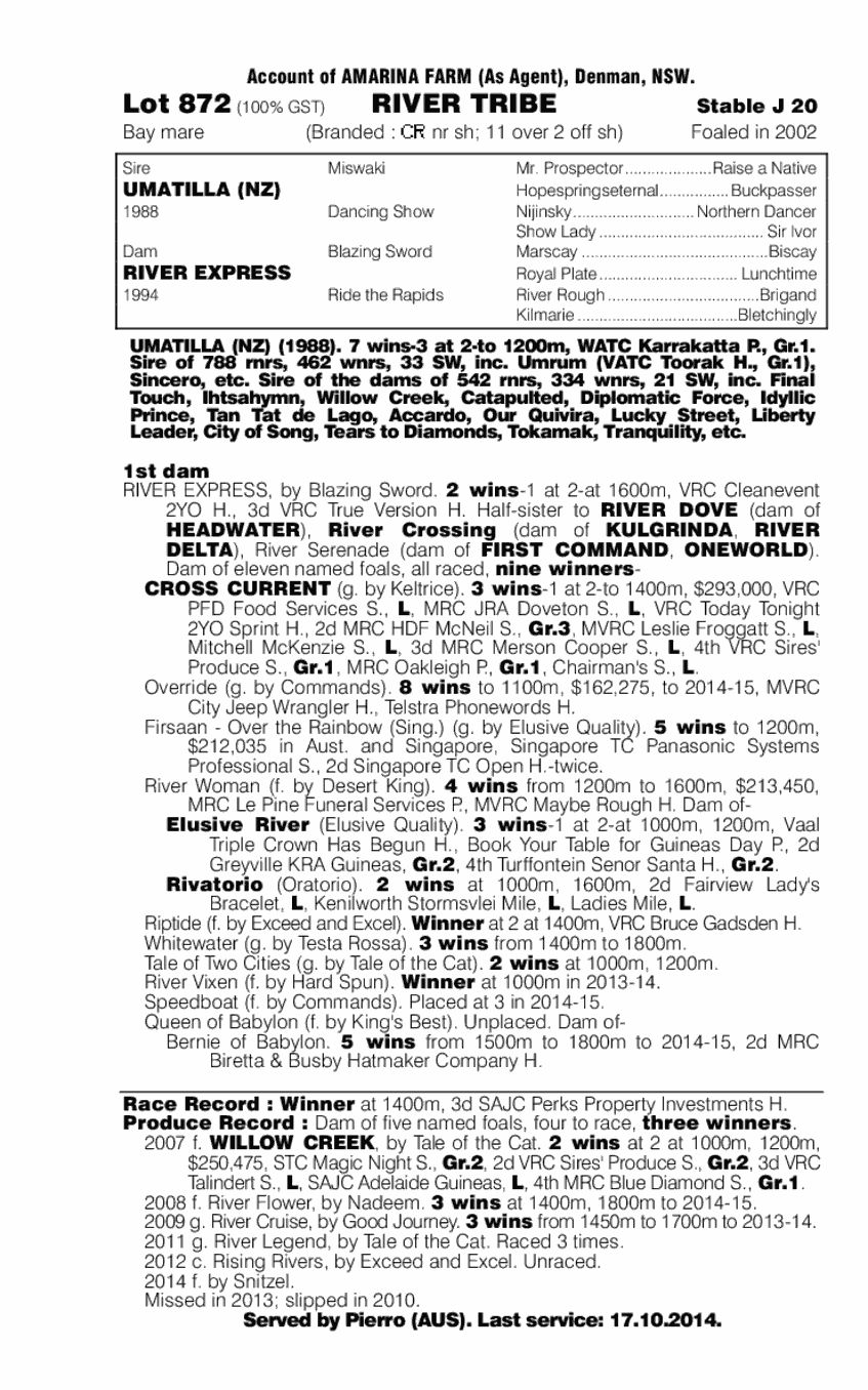 River Tribe (AUS) - pedigree
