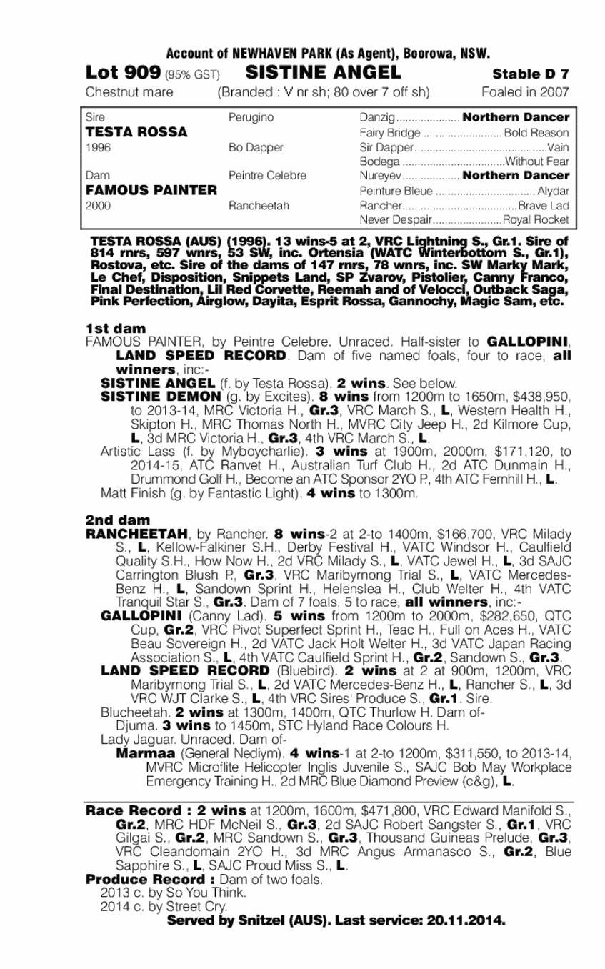 Sistine Angel (AUS) - pedigree