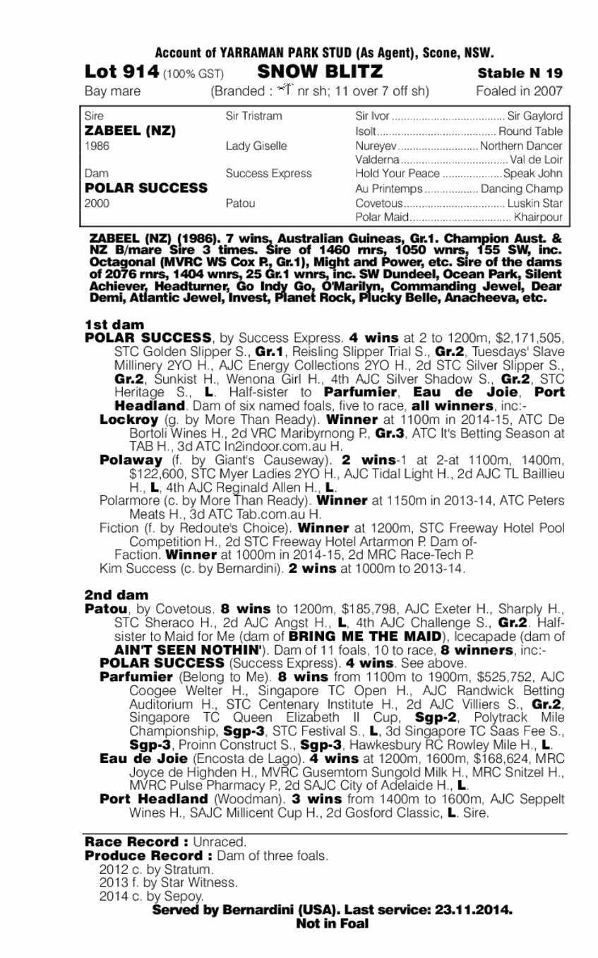 Snow Blitz (AUS) - pedigree