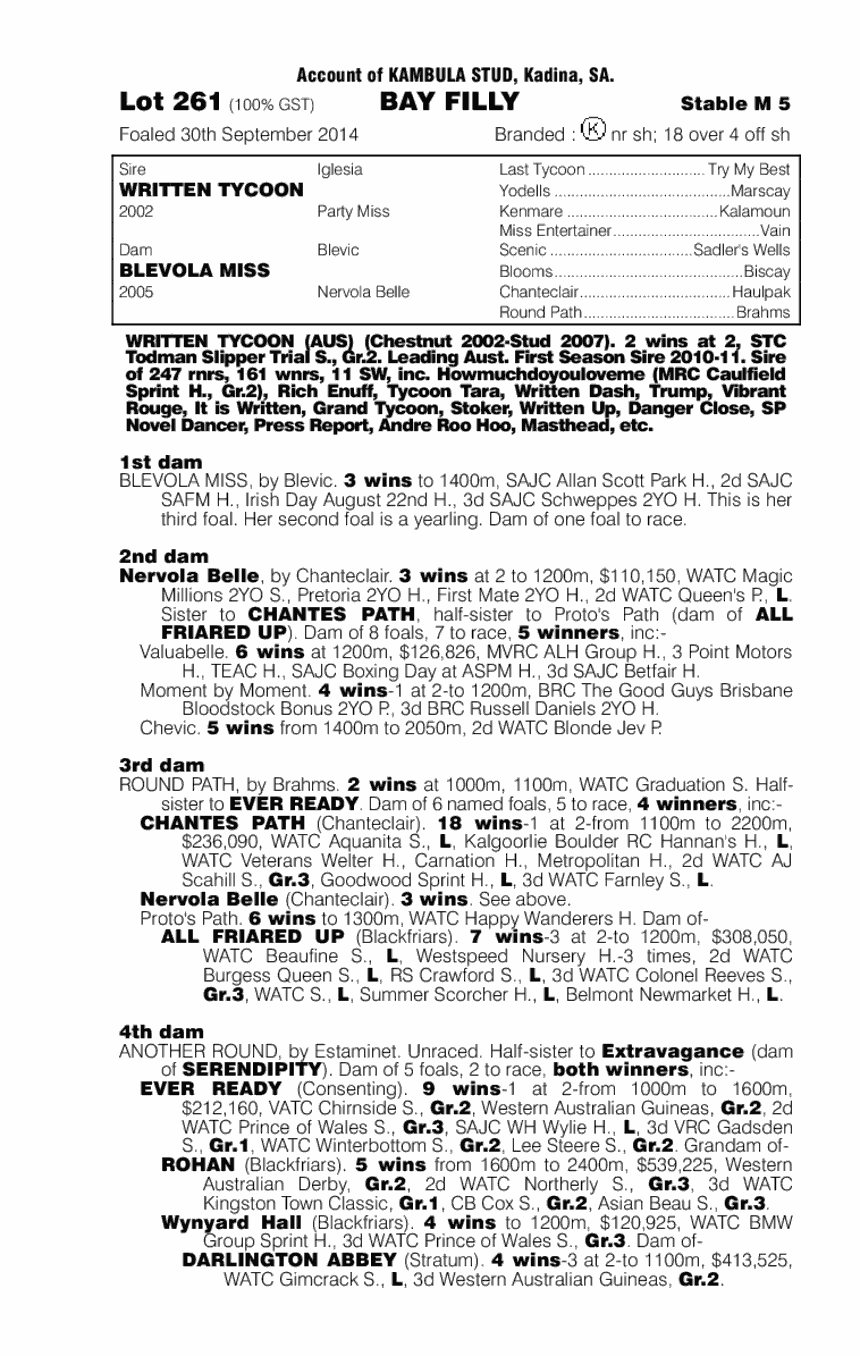 Written Tycoon (AUS) / Blevola Miss (AUS) - pedigree