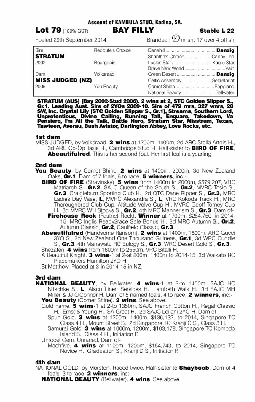 Stratum (AUS) / Miss Judged (NZ) - pedigree