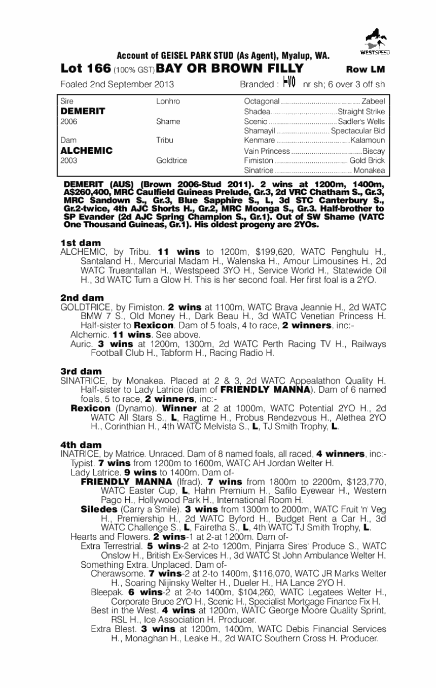 Miss Somebody (AUS) - pedigree