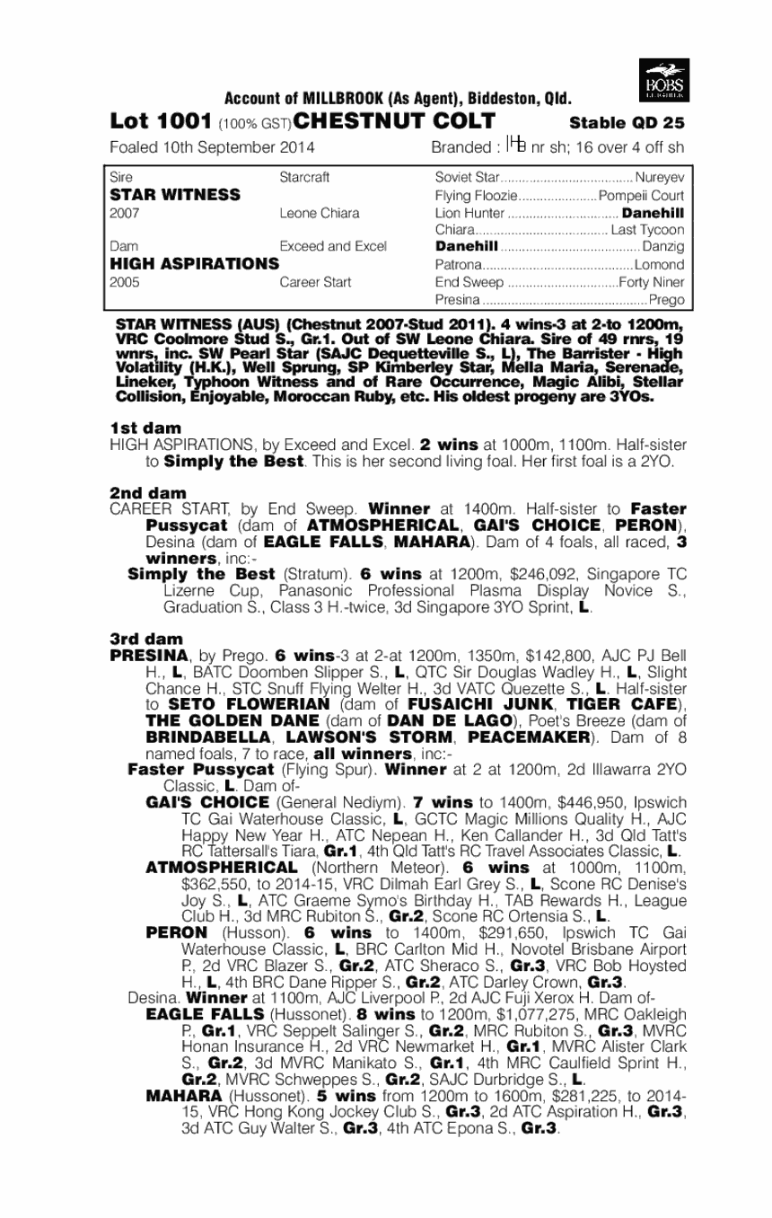 Star Witness (AUS) / High Aspirations (AUS) - pedigree