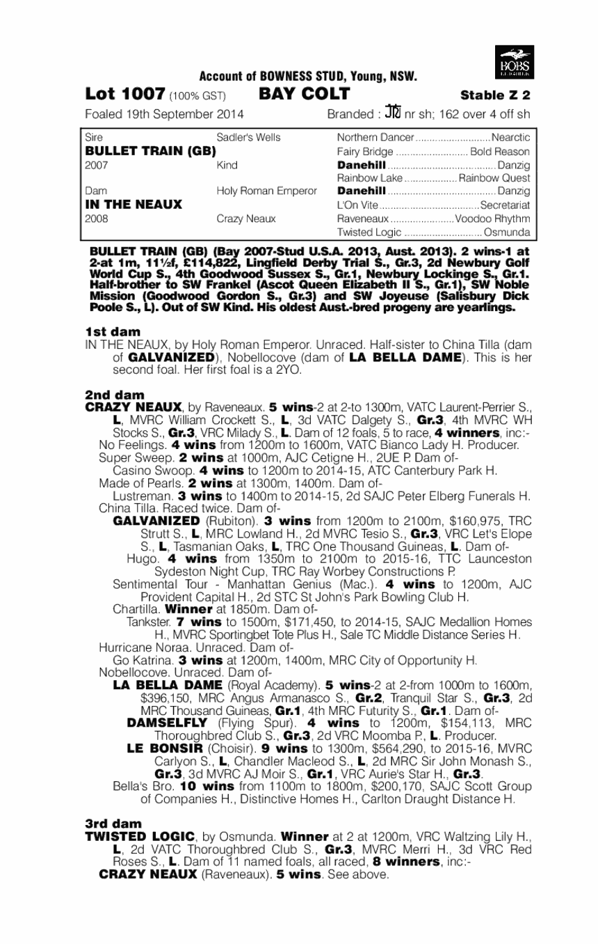 Bullet Train (GB) / In The Neaux (AUS) - pedigree