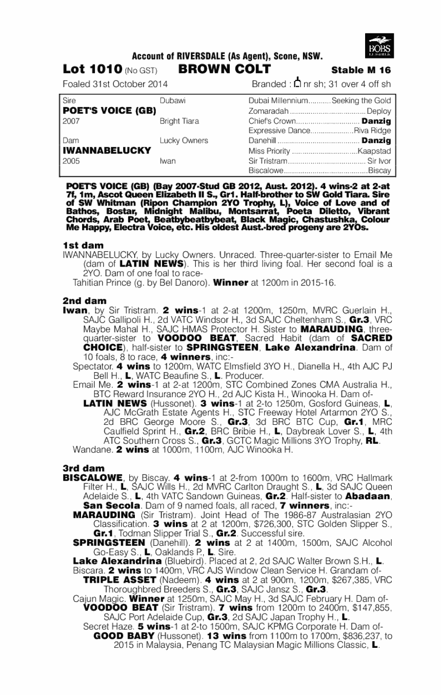 Poet's Voice (GB) / Iwannabelucky (AUS) - pedigree