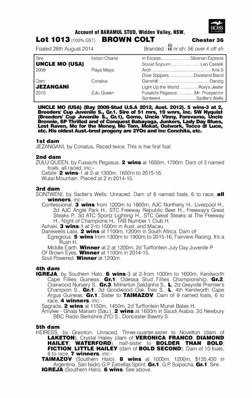 Uncle Mo (USA) / Jezangani (AUS) - pedigree