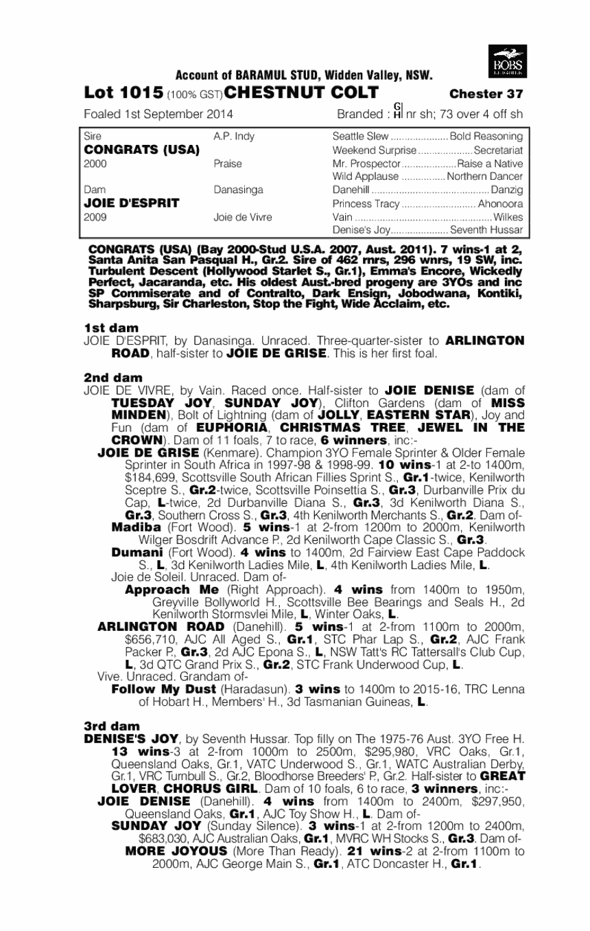 Congrats (USA) / Joie D'esprit (AUS) - pedigree