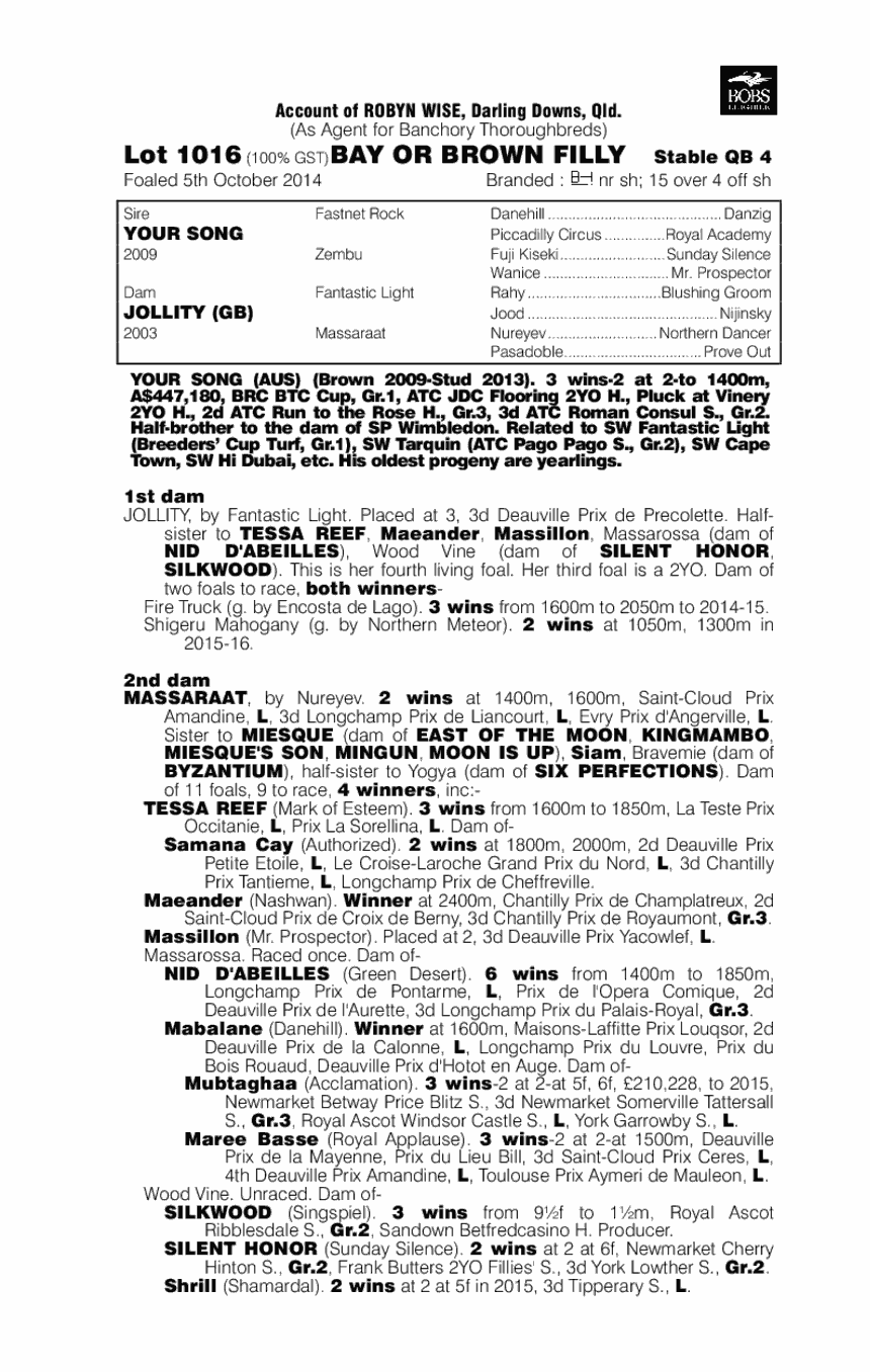 Your Song (AUS) / Jollity (GB) - pedigree