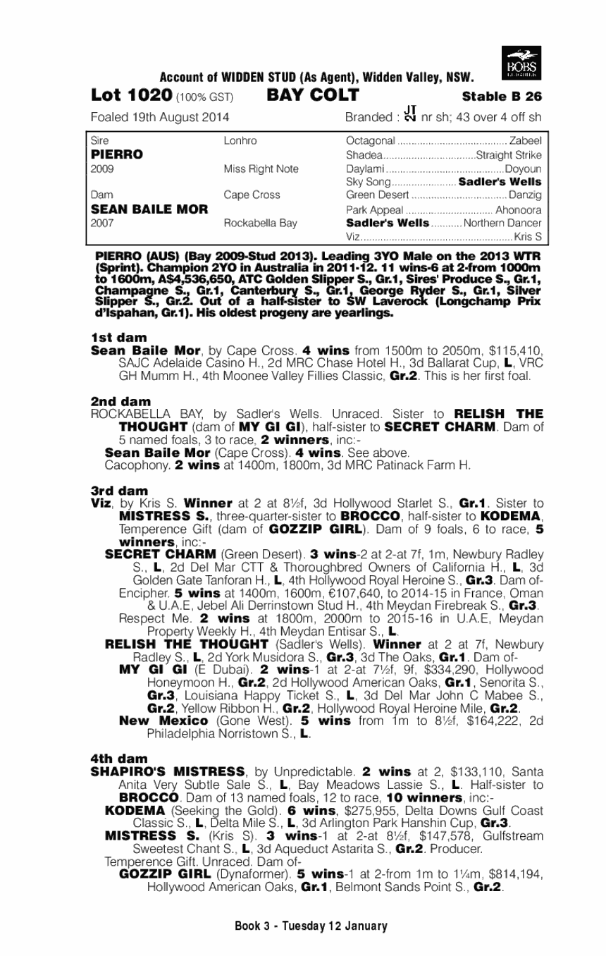 Pierro (AUS) / Sean Baile Mor (AUS) - pedigree