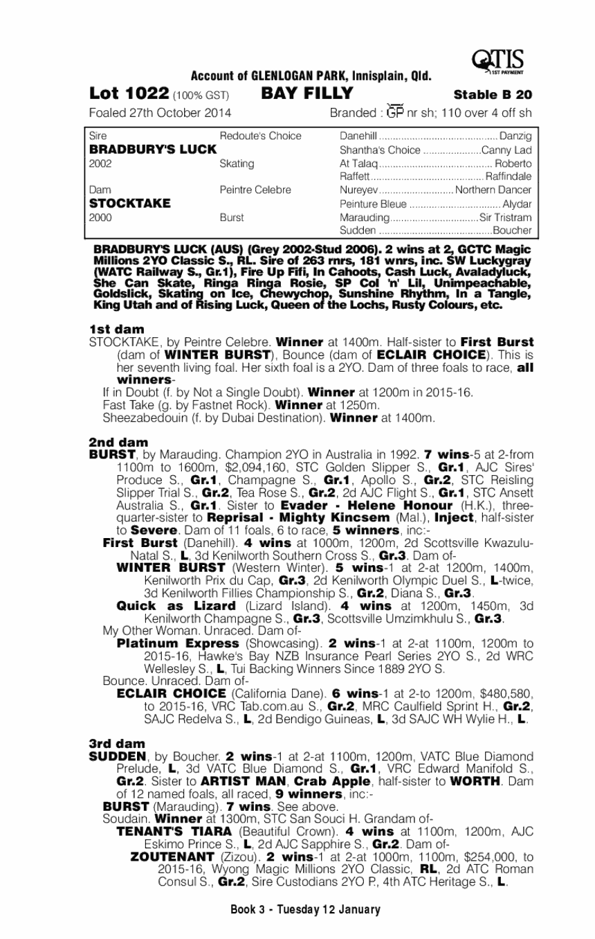 Bradbury's Luck (AUS) / Stocktake (AUS) - pedigree