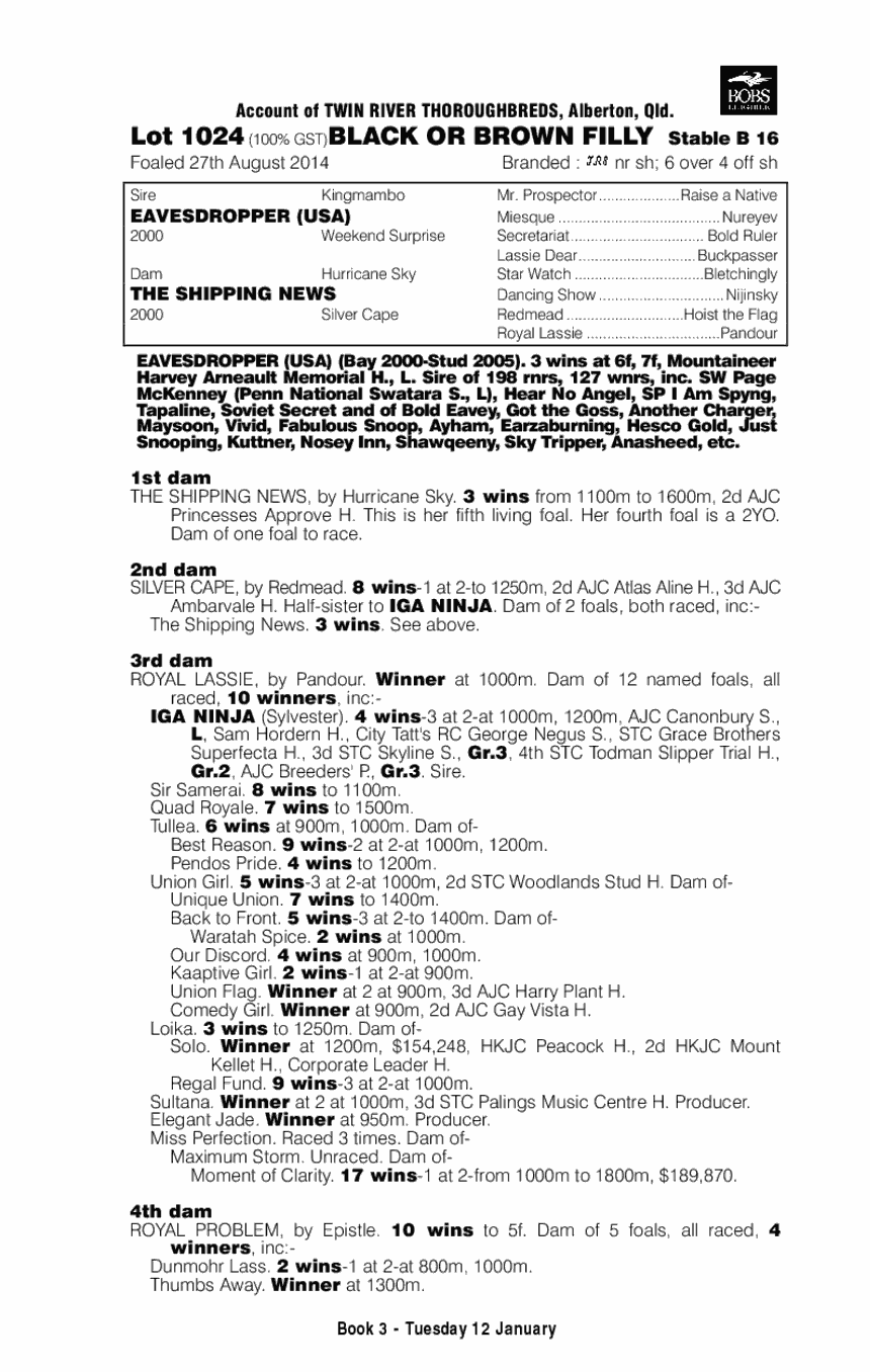 Eavesdropper (USA) / The Shipping News (AUS) - pedigree