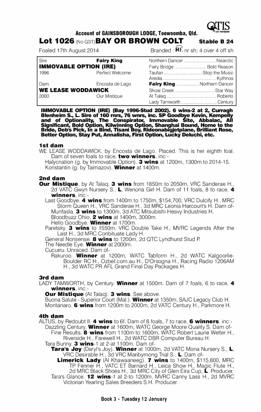 Immovable Option (IRE) / We Lease Woddawick (AUS) - pedigree