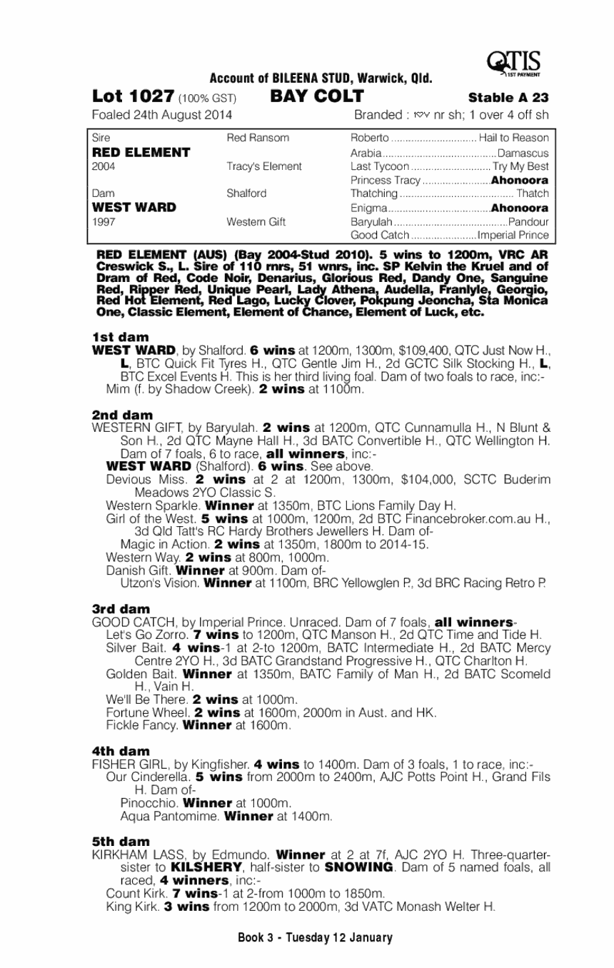 Red Element (AUS) / West Ward (AUS) - pedigree