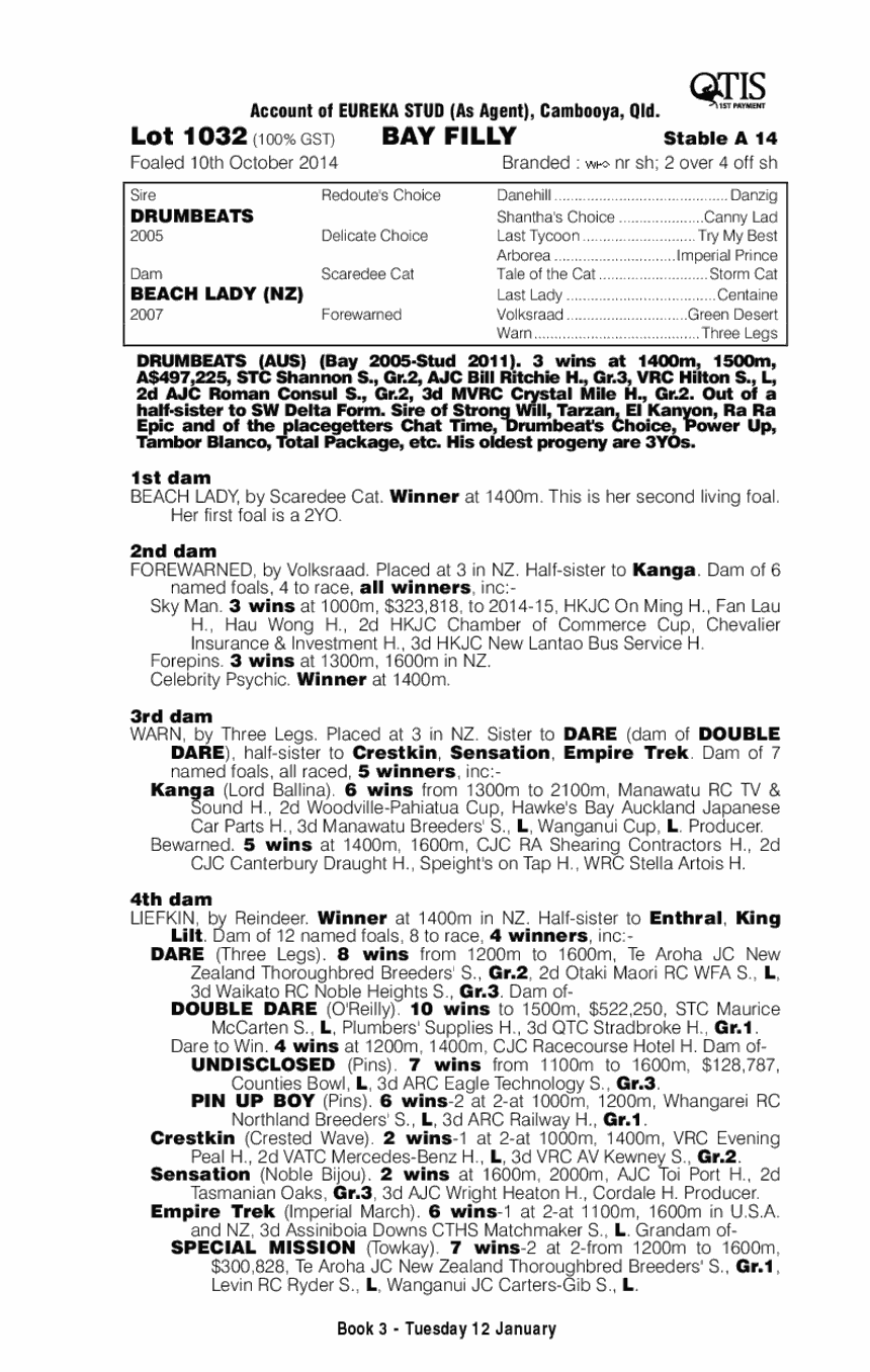 Drumbeats (AUS) / Beach Lady (NZ) - pedigree