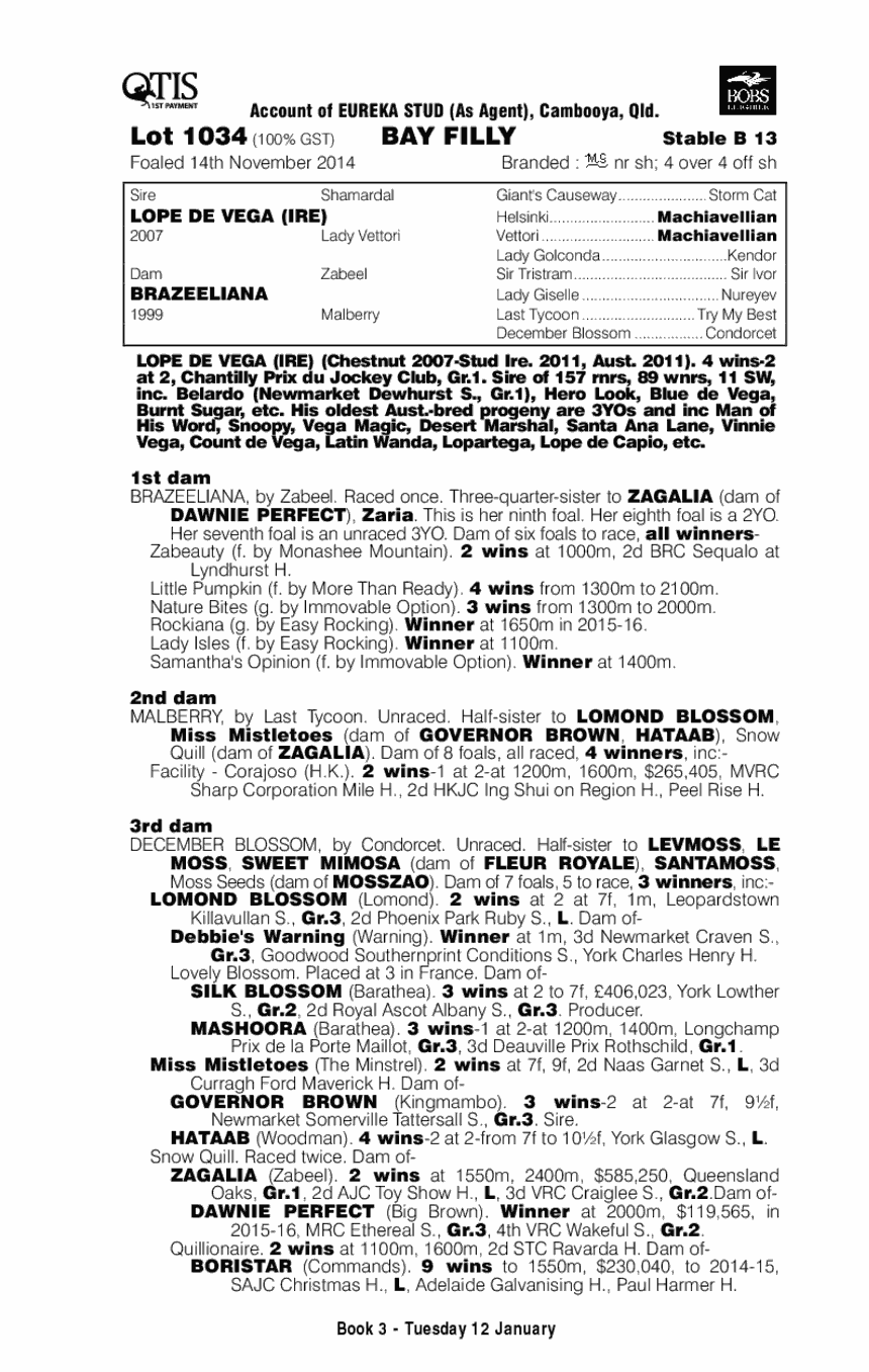 Lope De Vega (IRE) / Brazeeliana (AUS) - pedigree