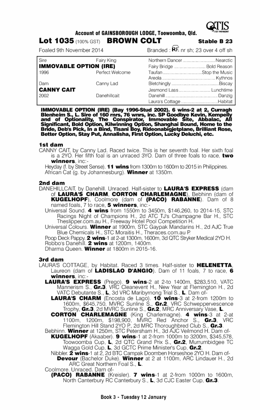 Immovable Option (IRE) / Canny Cait (AUS) - pedigree