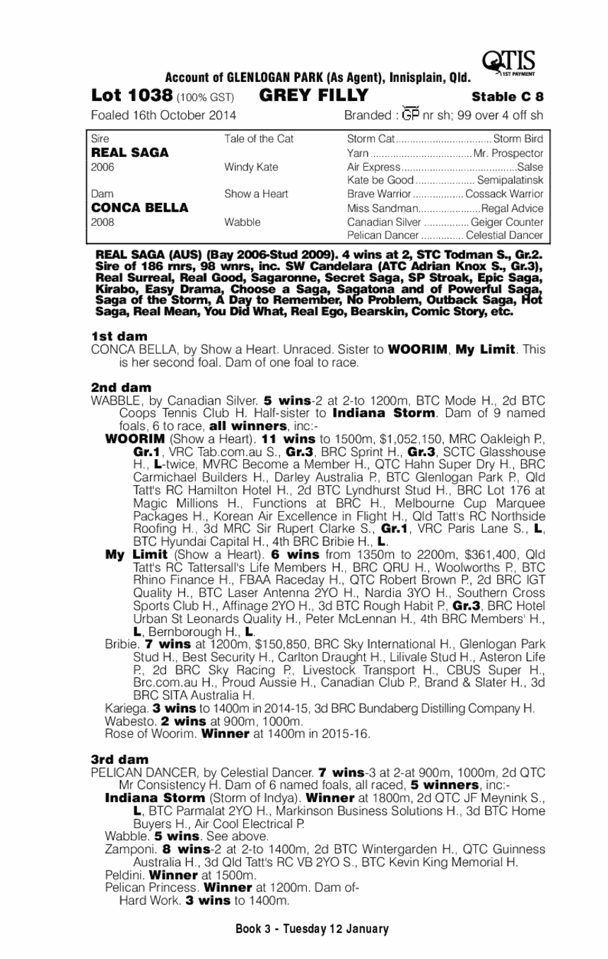 Real Saga (AUS) / Conca Bella (AUS) - pedigree