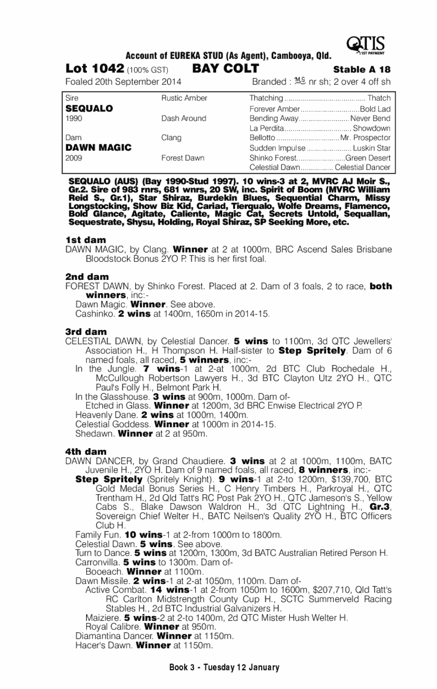 Sequalo (AUS) / Dawn Magic (AUS) - pedigree