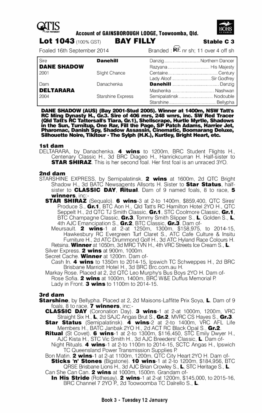 Dane Shadow (AUS) / Deltarara (AUS) - pedigree