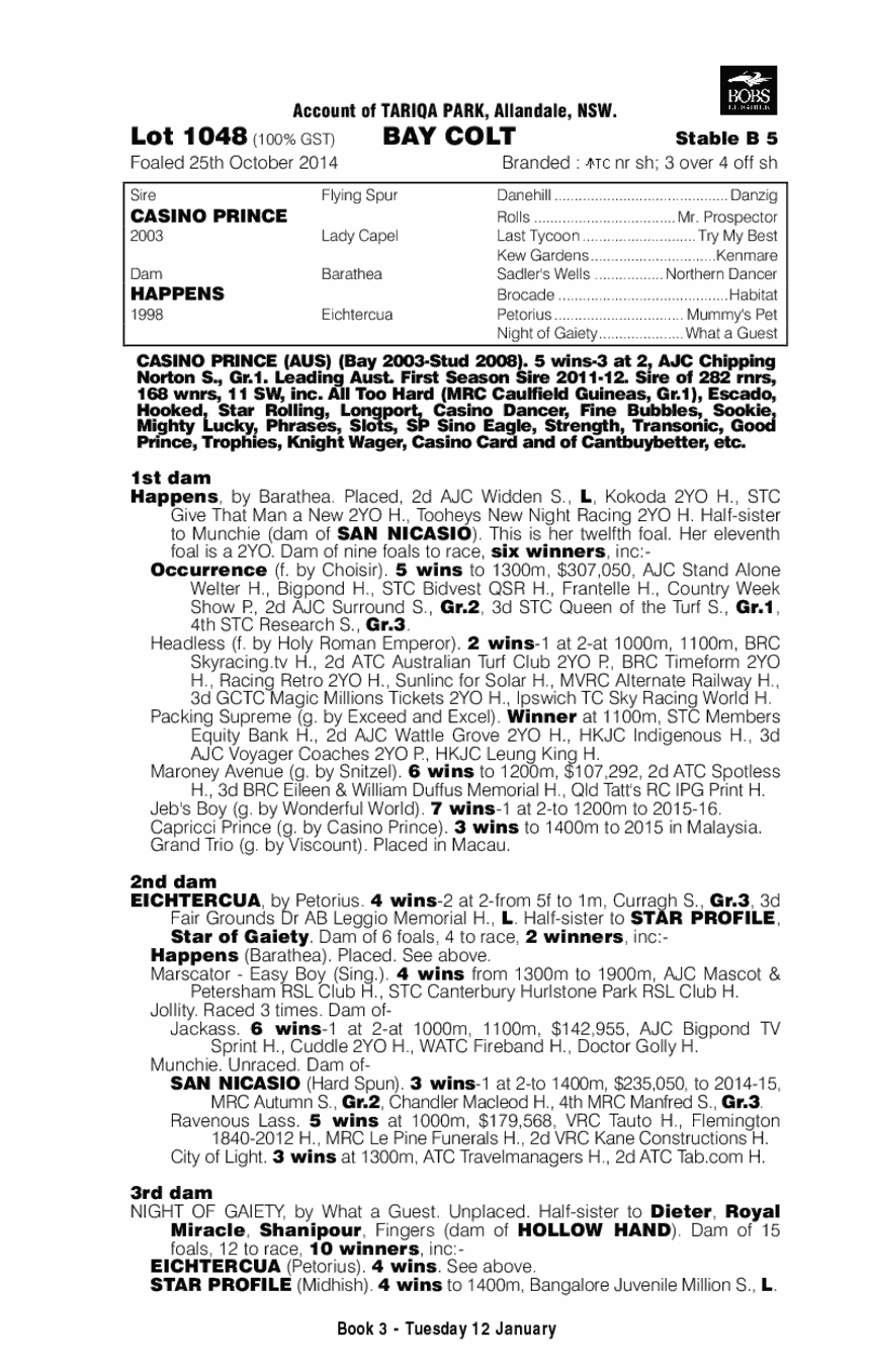 Casino Prince (AUS) / Happens (AUS) - pedigree