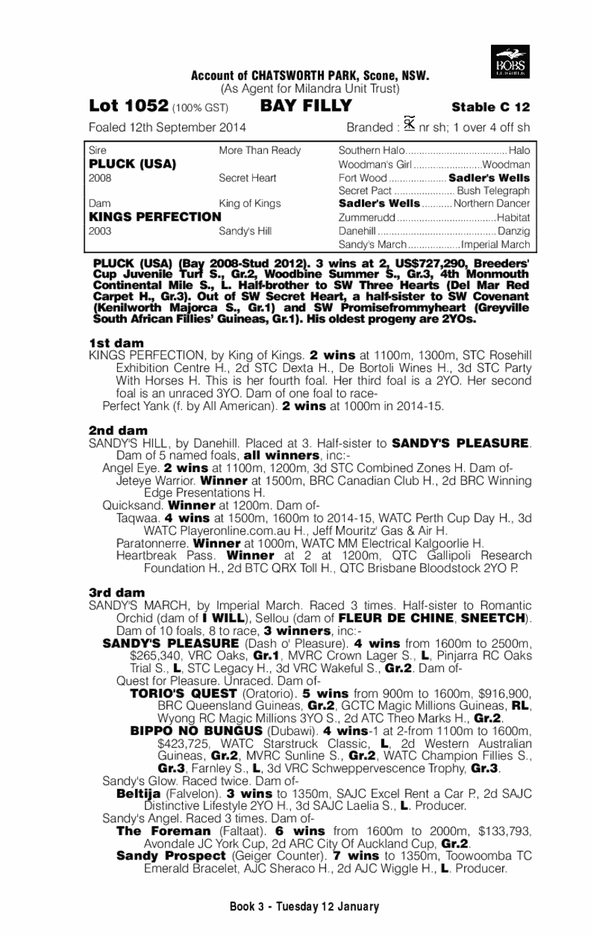 Pluck (USA) / Kings Perfection (AUS) - pedigree