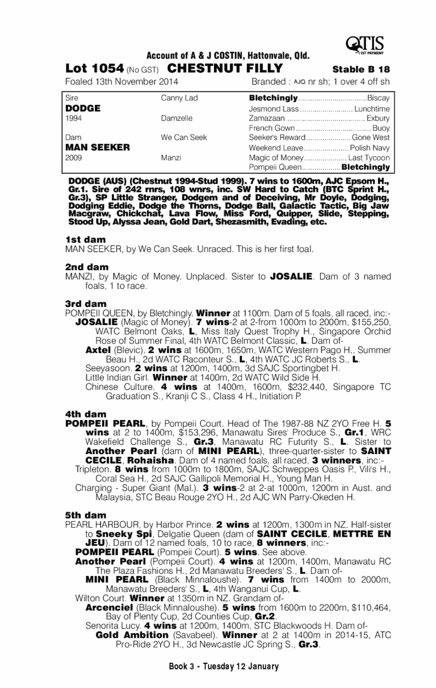 Dodge (AUS) / Man Seeker (AUS) - pedigree