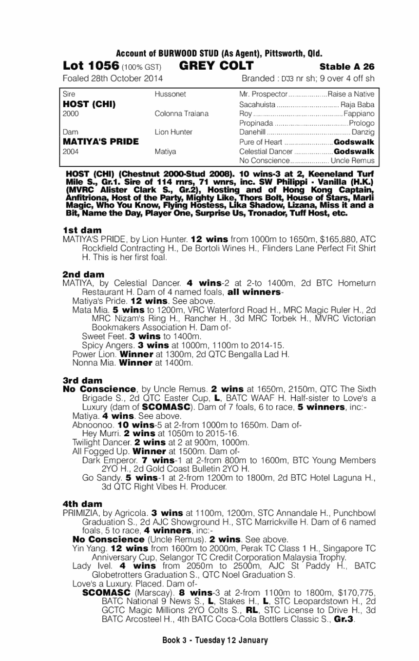 Host (CHI) / Matiya's Pride (AUS) - pedigree