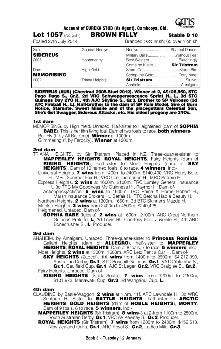 Sidereus (AUS) / Memorising (AUS) - pedigree