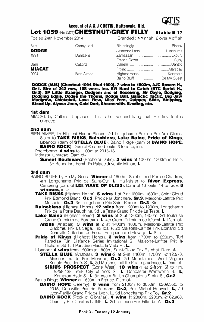 Dodge (AUS) / Miacat (AUS) - pedigree