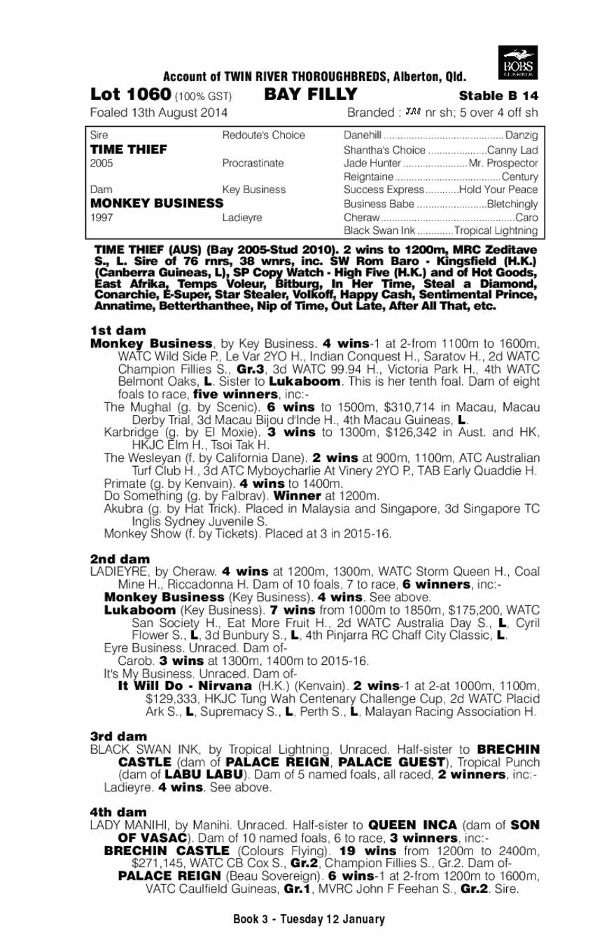 Time Thief (AUS) / Monkey Business (AUS) - pedigree