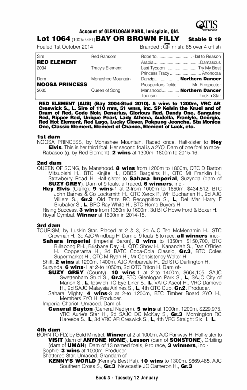 Red Element (AUS) / Noosa Princess (AUS) - pedigree