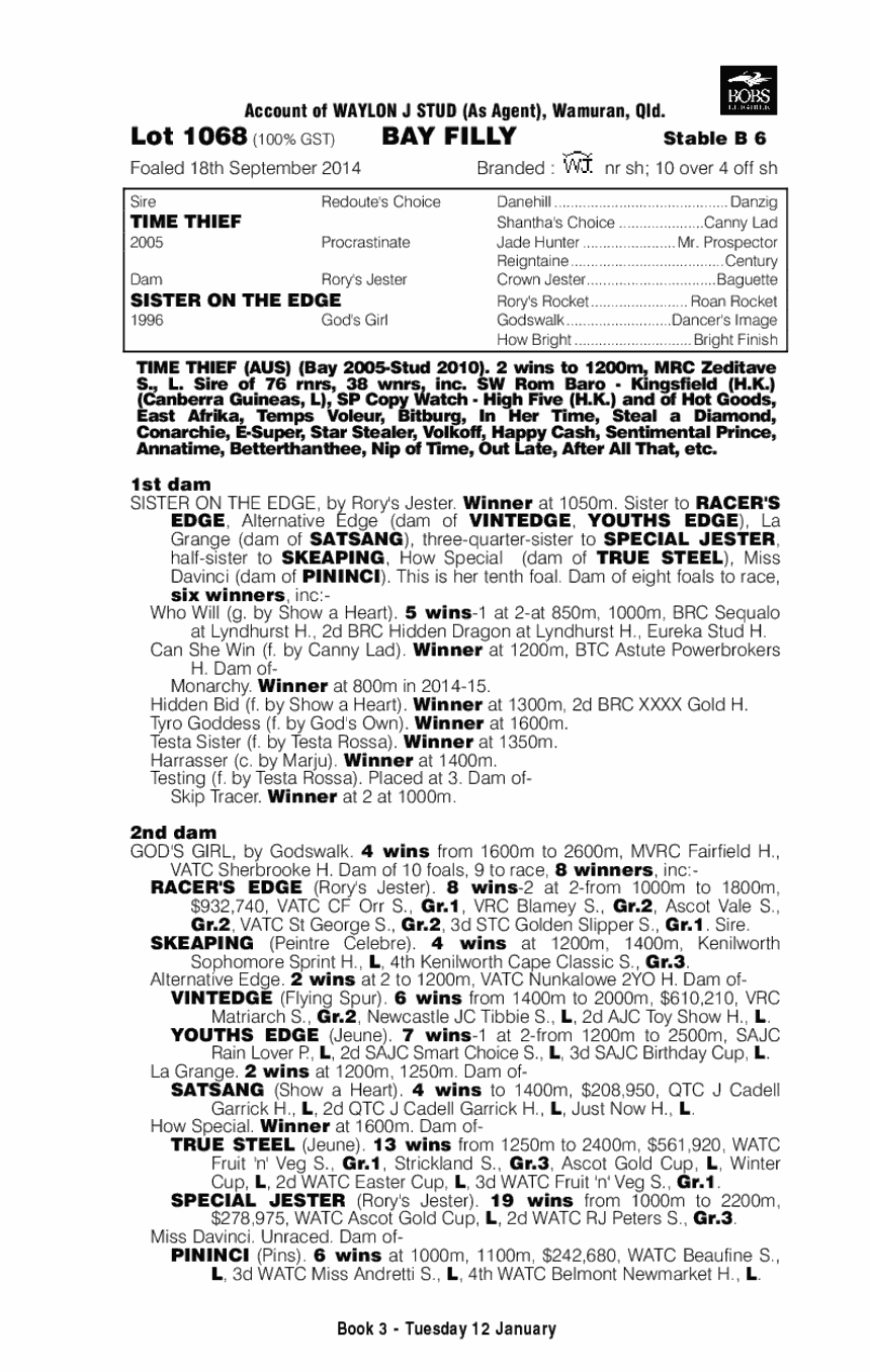 Time Thief (AUS) / Sister on the Edge (AUS) - pedigree