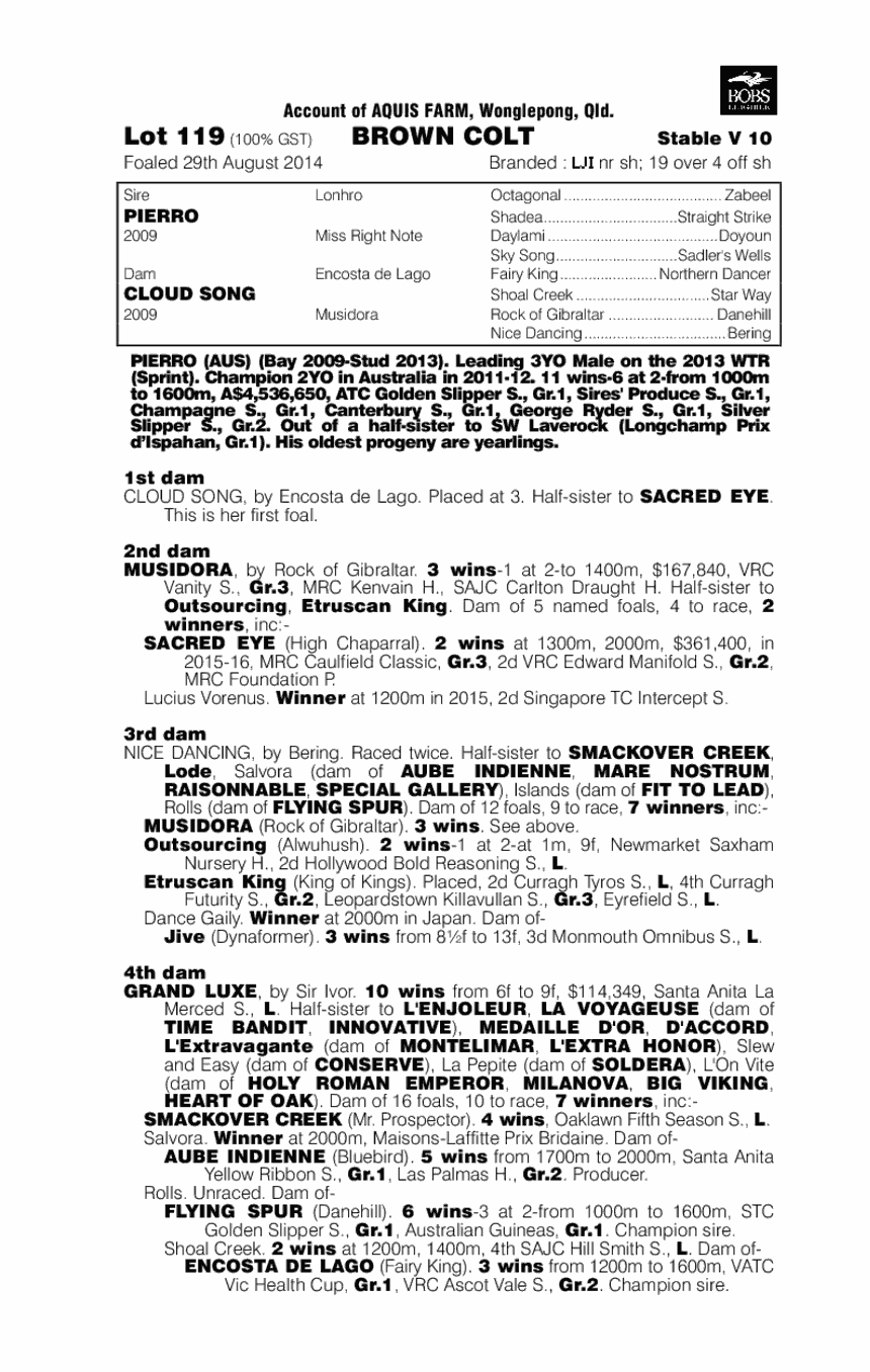 Pierro (AUS) / Cloud Song (AUS) - pedigree