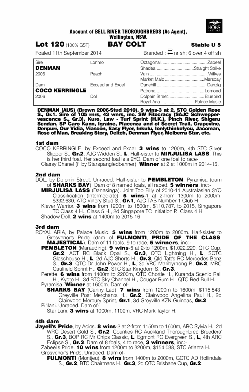 Denman (AUS) / Coco Kerringle (AUS) - pedigree