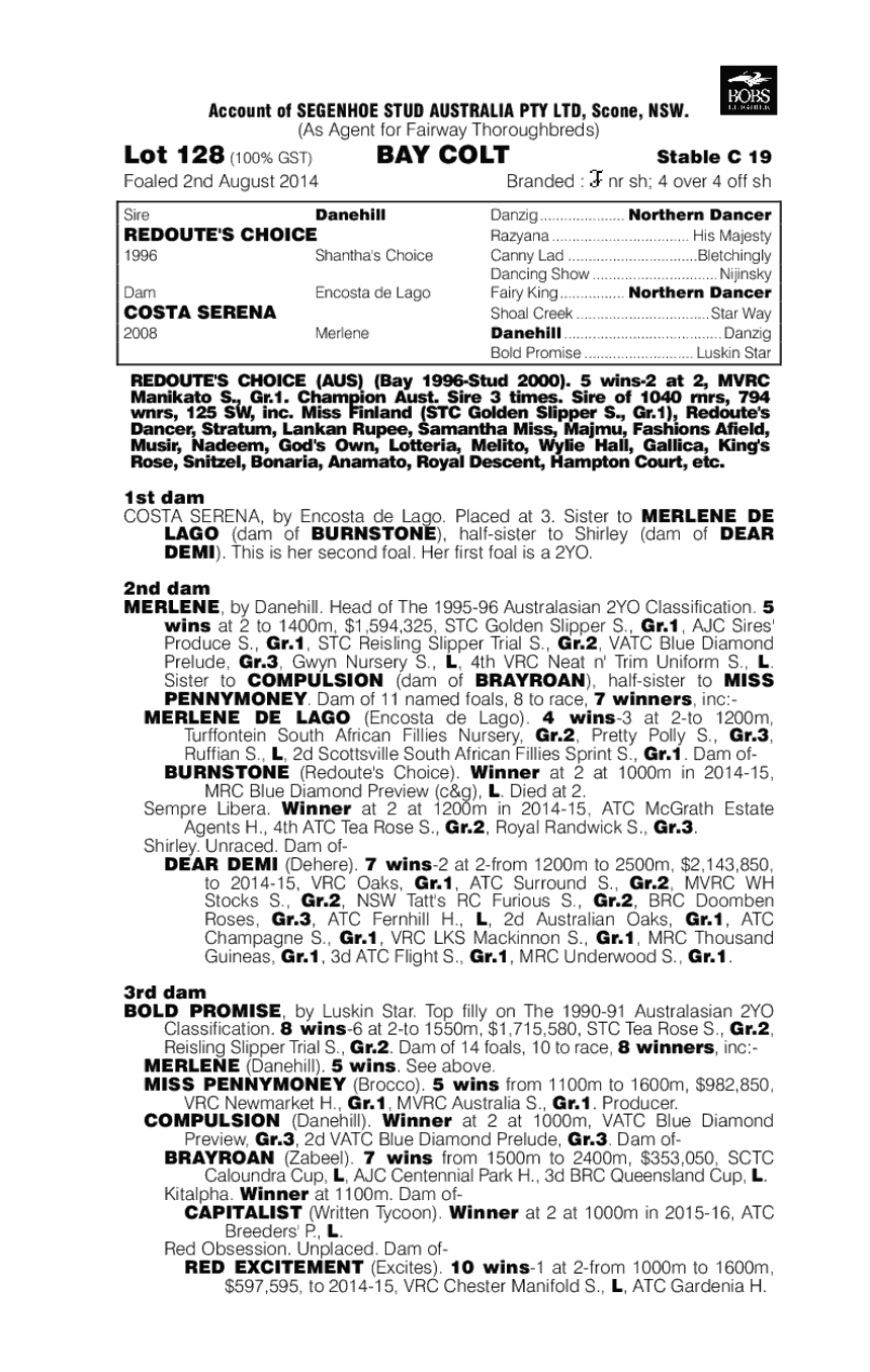 Panorama (AUS) - pedigree