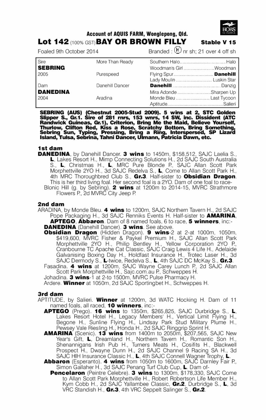 Danish Bingo (AUS) - pedigree