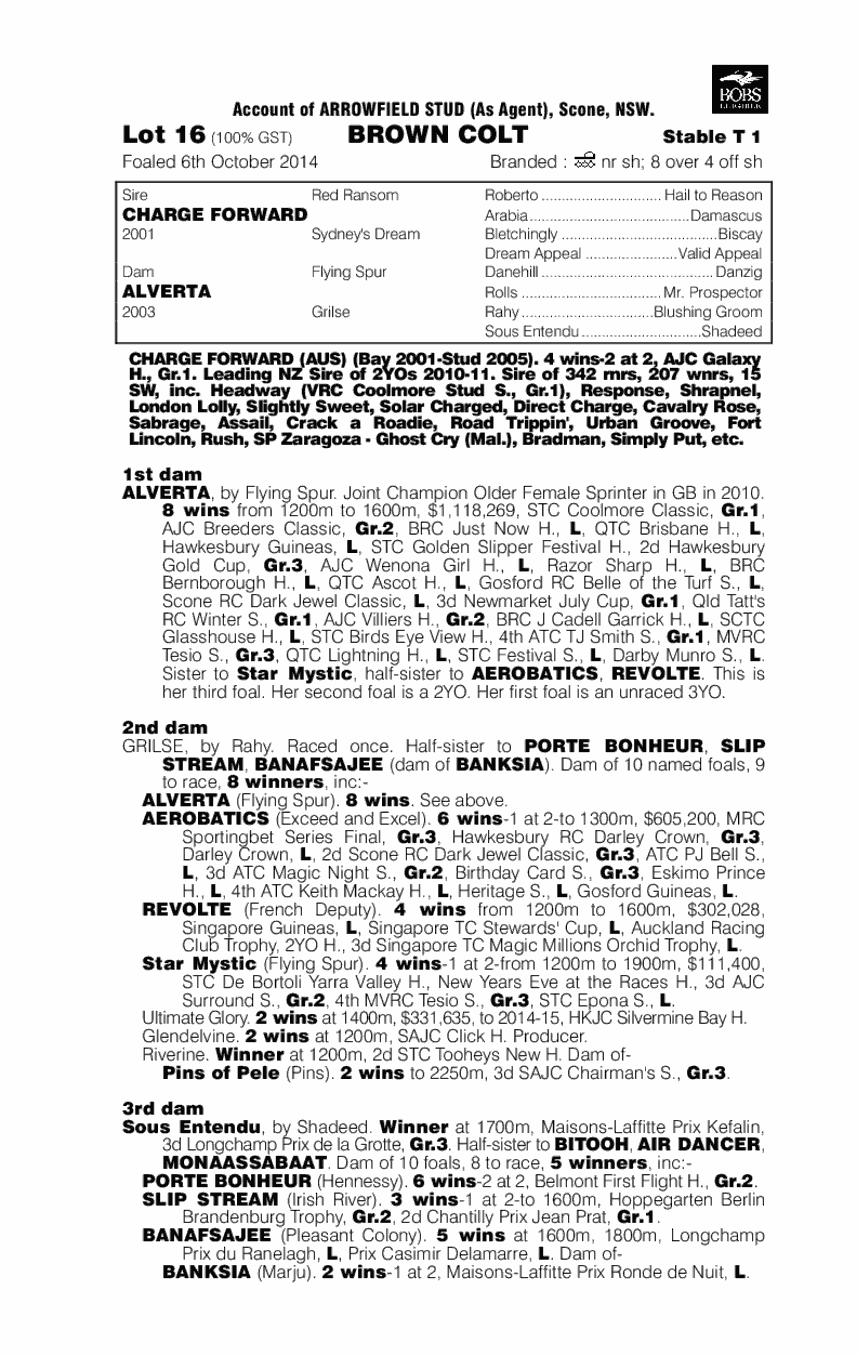 Charge Forward (AUS) / Alverta (AUS) - pedigree