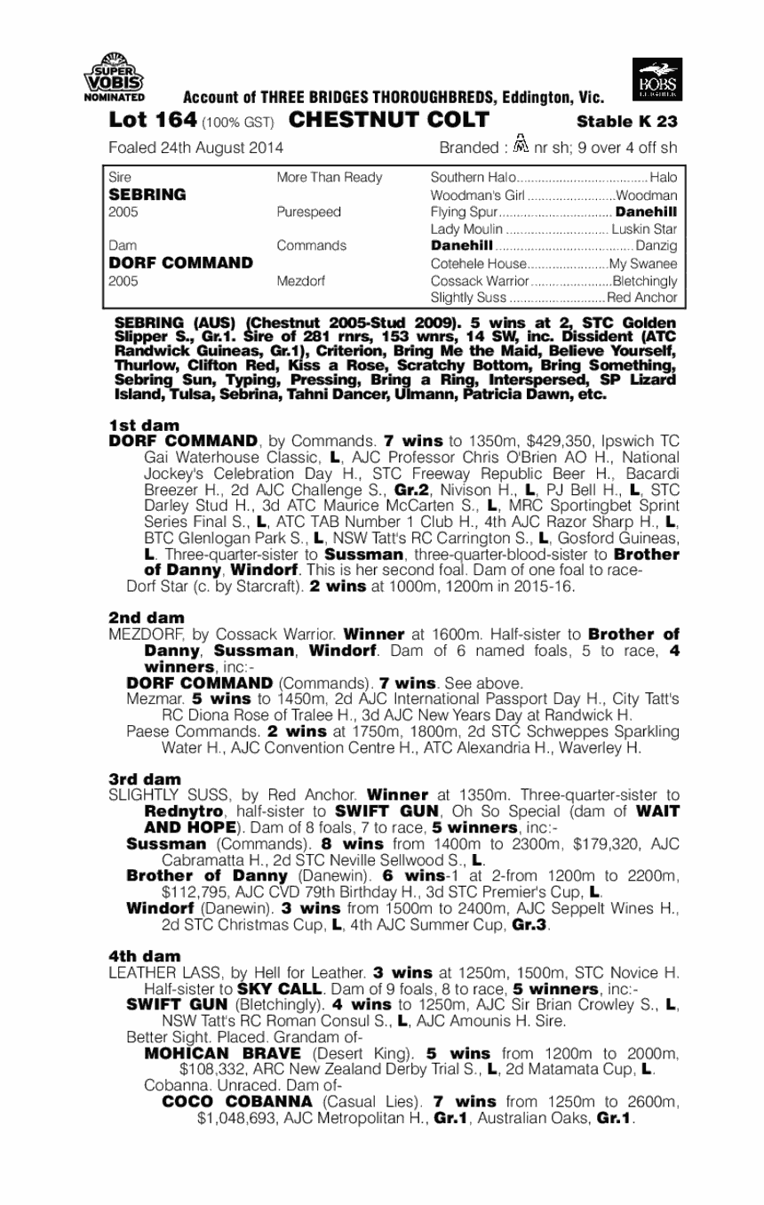 Sebring (AUS) / Dorf Command (AUS) - pedigree