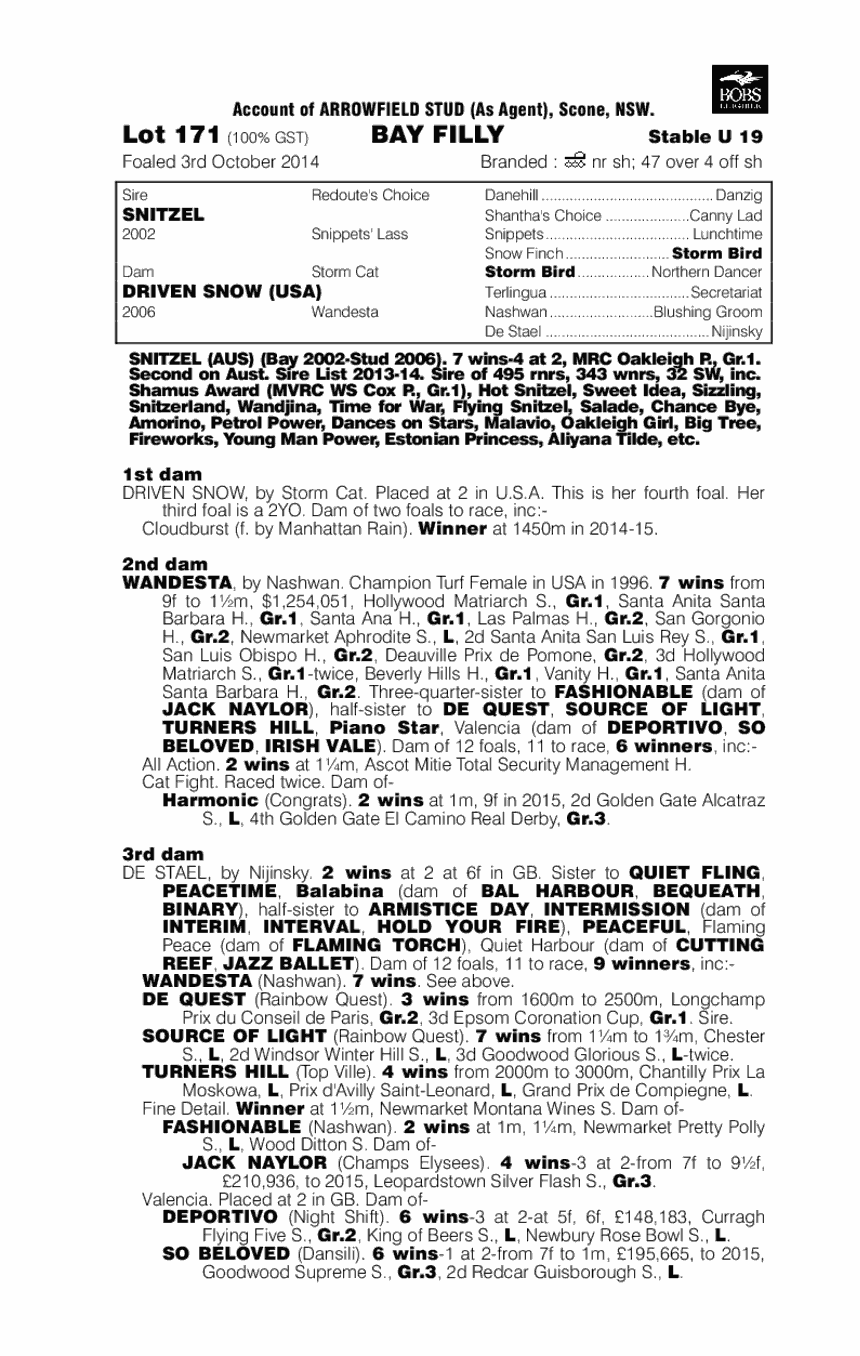 Snitzel (AUS) / Driven Snow (USA) - pedigree