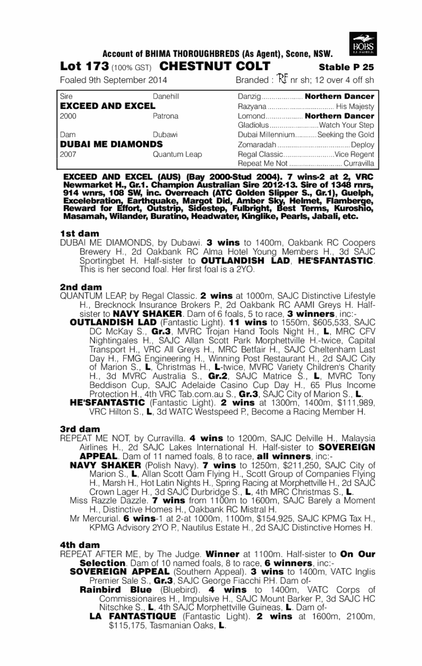 Exceed And Excel (AUS) / Dubai Me Diamonds (AUS) - pedigree