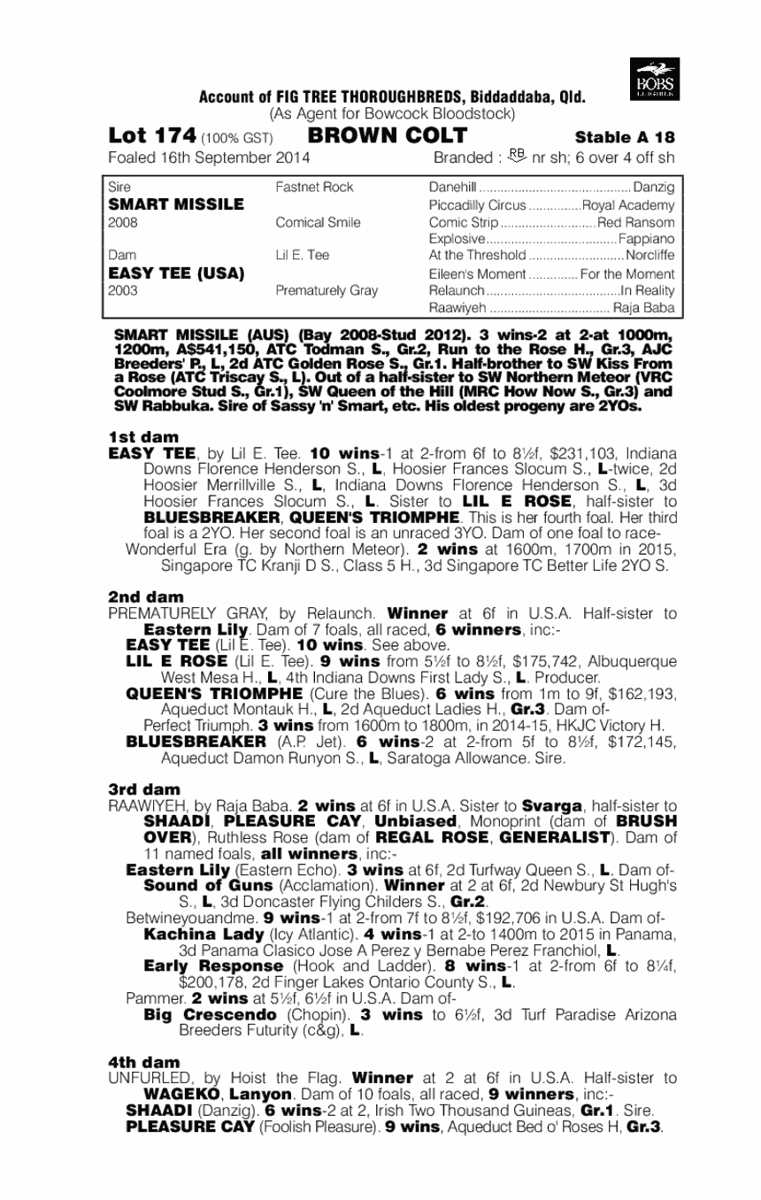 Smart Missile (AUS) / Easy Tee (USA) - pedigree