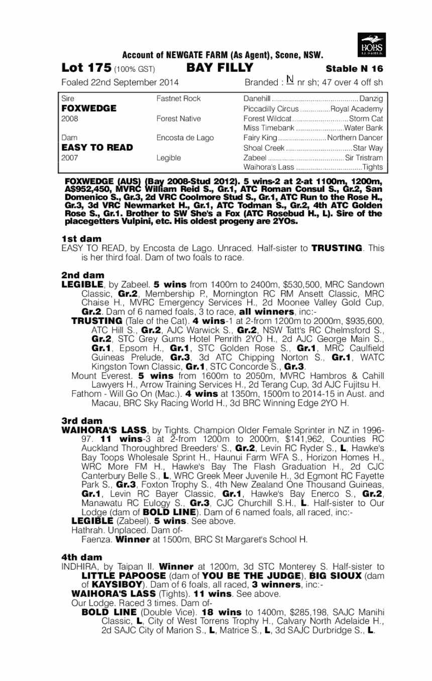Foxwedge (AUS) / Easy to Read (AUS) - pedigree
