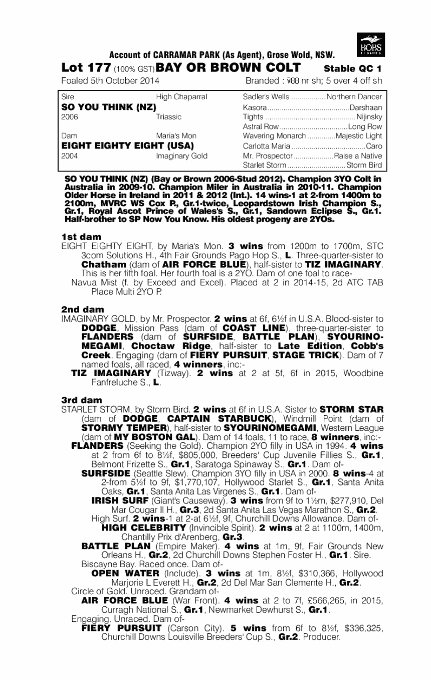 So You Think (NZ) / Eight Eighty Eight (USA) - pedigree