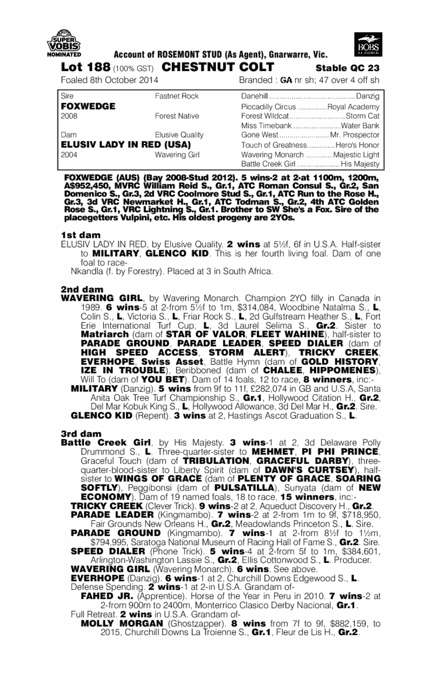 Foxwedge (AUS) / Elusiv Lady In Red (USA) - pedigree