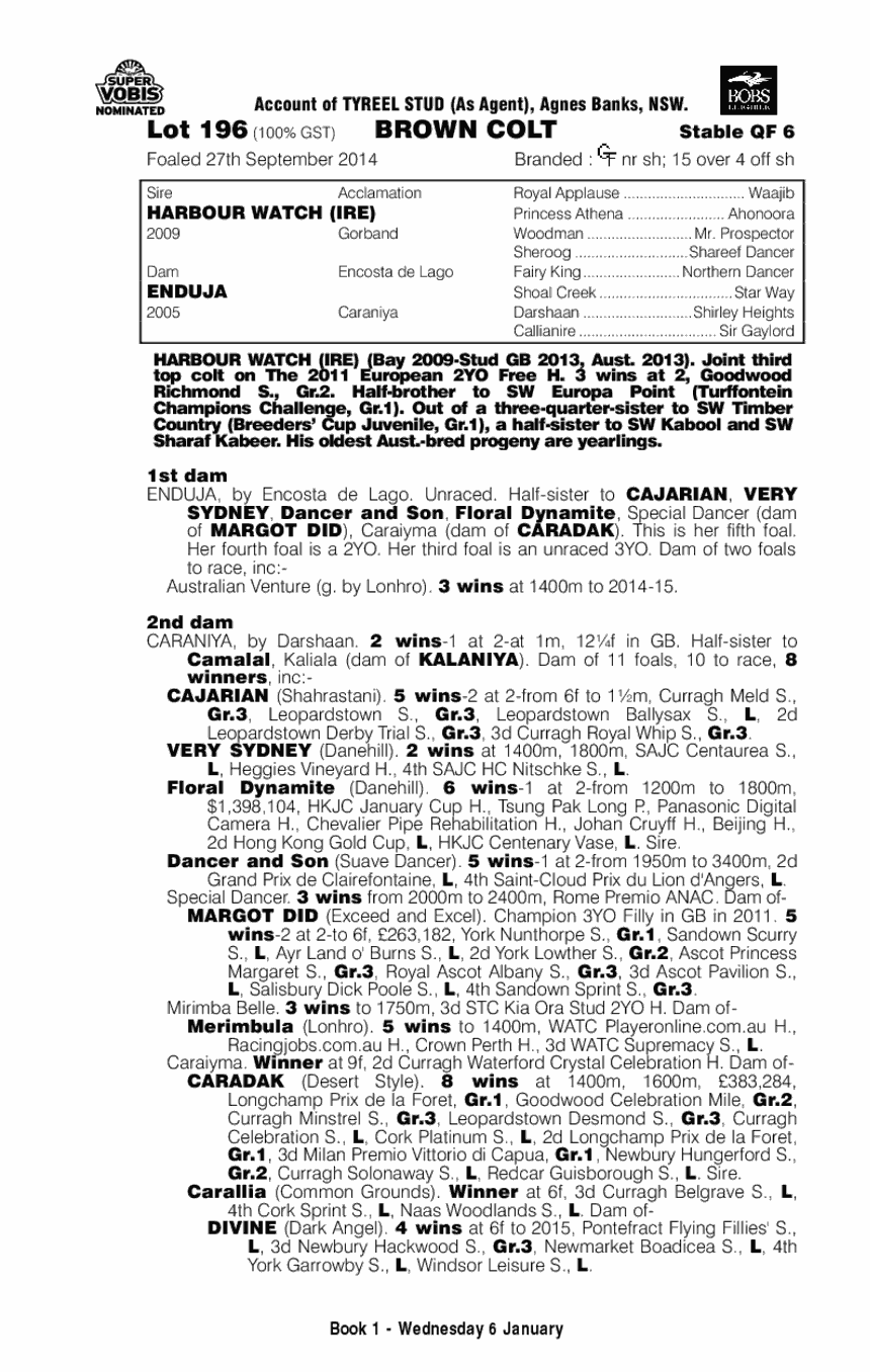 Harbour Watch (IRE) / Enduja (AUS) - pedigree