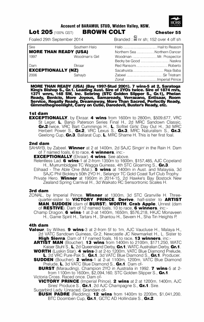 More Than Ready (USA) / Exceptionally (NZ) - pedigree