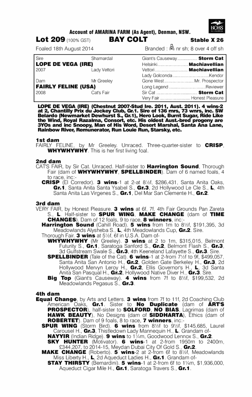 Lope De Vega (IRE) / Fairly Feline (USA) - pedigree