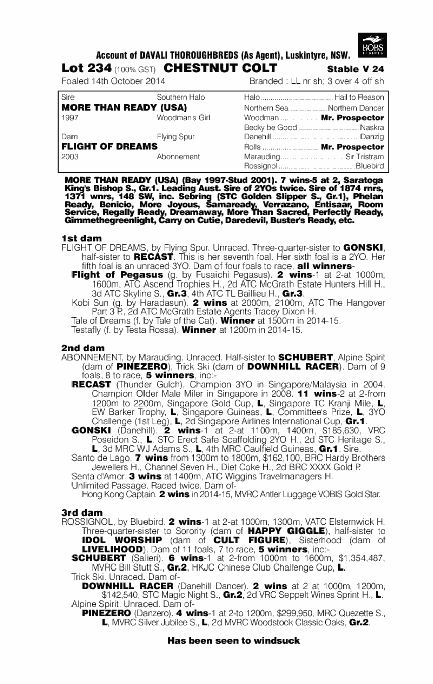 More Than Ready (USA) / Flight of Dreams (AUS) - pedigree