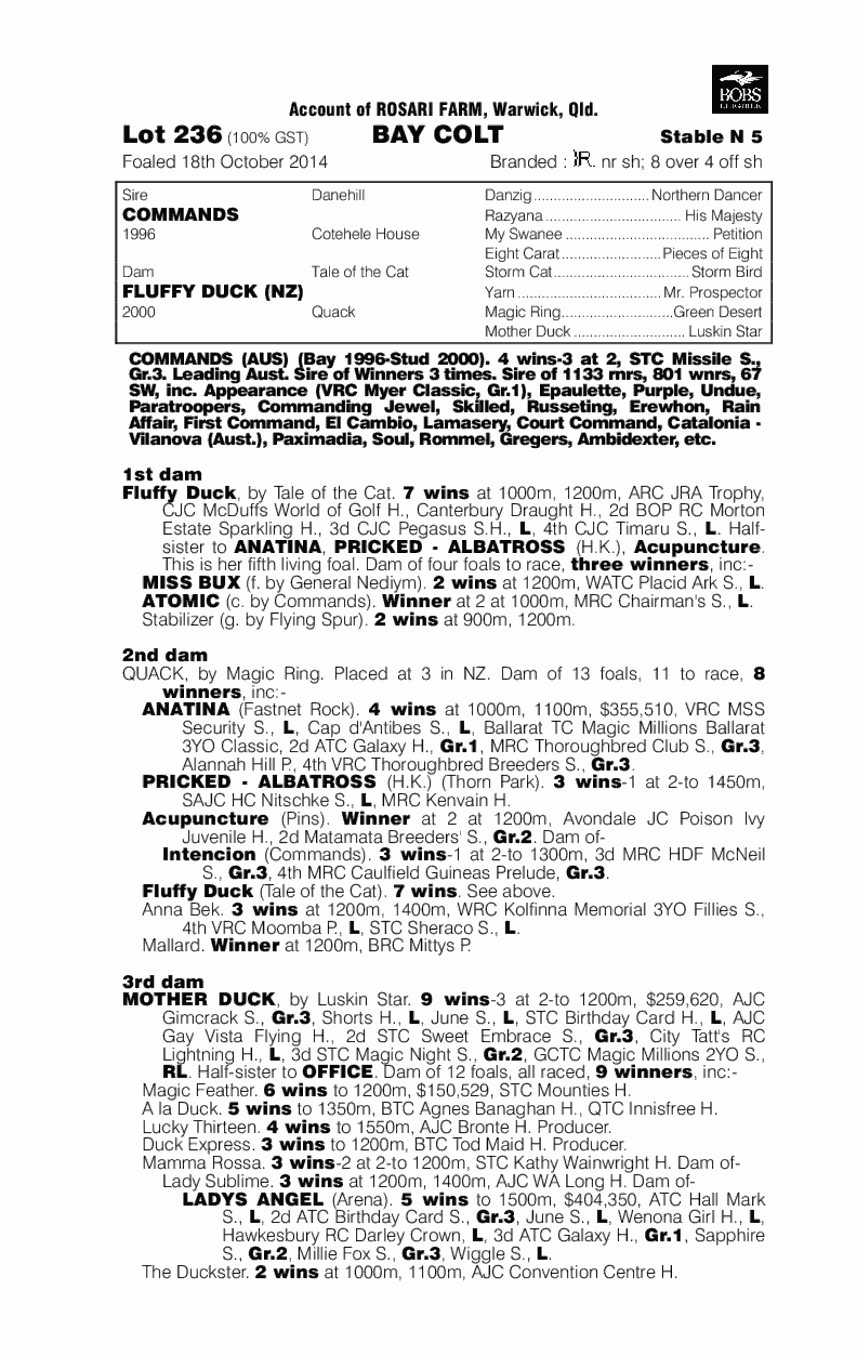 Commands (AUS) / Fluffy Duck (NZ) - pedigree