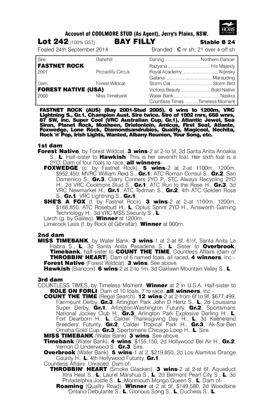 Fastnet Rock (AUS) / Forest Native (USA) - pedigree